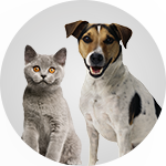 gallery/иконка 3-1